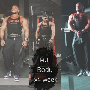 4x week Fullbody program